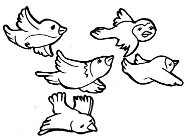 maya birds flying